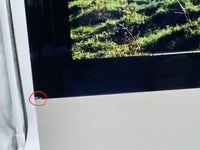 Apple 2019 iMac 27 in 5K Retina 3.6GHz 8-Core i9 32GB RAM 1TB SSD RP580X 8GB