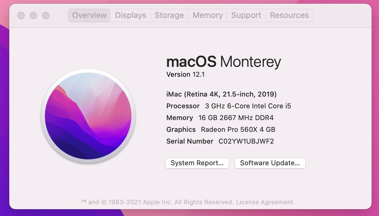 Apple 2019 iMac 21 in 4K Retina 3.0GHz 6-Core i5 16GB RAM 512GB SSD RP560X 4GB